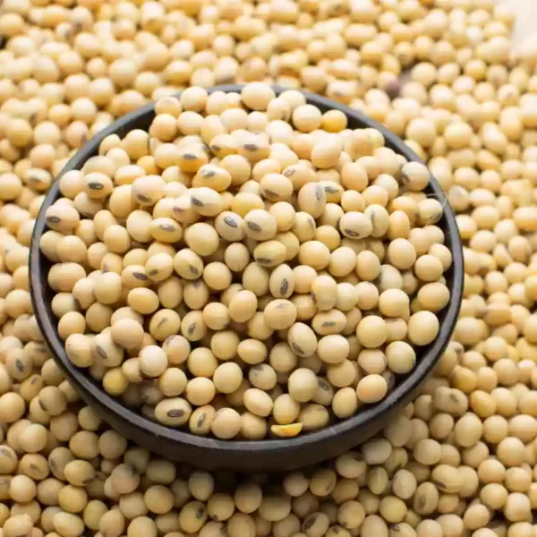 Soybean